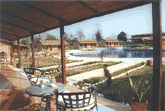 Safari Narayani
