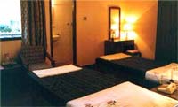Room in Hotel Shree Tibet