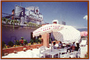 Rooftop in Hotel Norbulinka