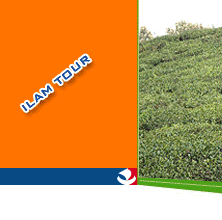 Ilam Tea Garden