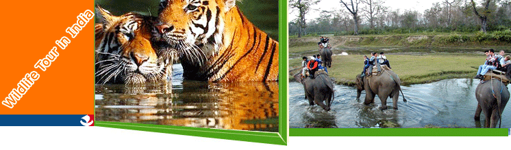 National Park in India, India National Parks